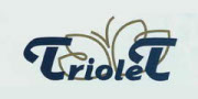 Triolet Logo